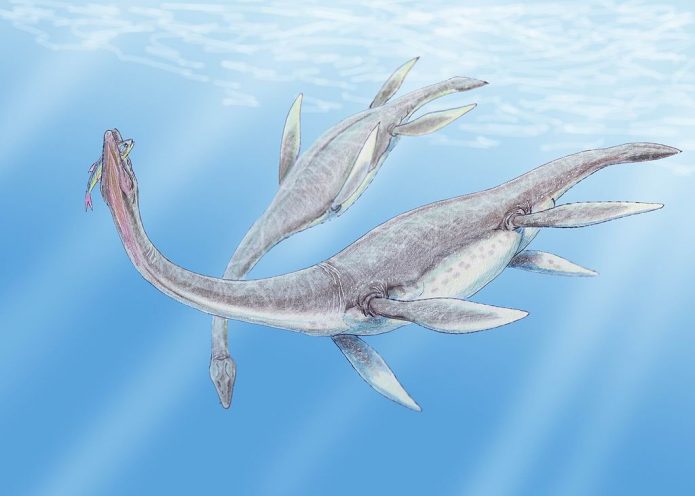 UK Scientists Declare Nessie ‘Plausible’ After Freshwater Plesiosaur ...