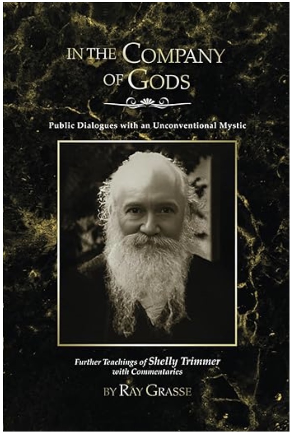 Book Cover: In the Company of Gods